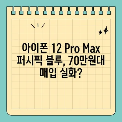 아이폰 12 Pro Max 퍼시픽 블루 70만원대 매입 가능? 서울 휴대폰 성지 이용 가이드 | 꿀팁, 최저가, 폰테크