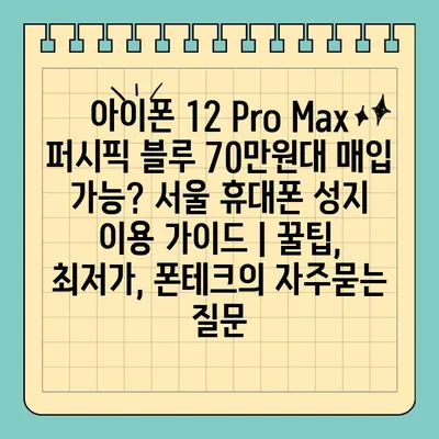 아이폰 12 Pro Max 퍼시픽 블루 70만원대 매입 가능? 서울 휴대폰 성지 이용 가이드 | 꿀팁, 최저가, 폰테크