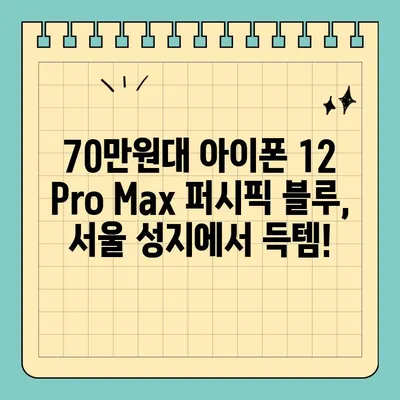 70만원대 아이폰 12 Pro Max 퍼시픽 블루 득템! 서울 휴대폰 성지의 비밀 | 아이폰 저렴하게 사는 법, 휴대폰 성지 정보, 꿀팁