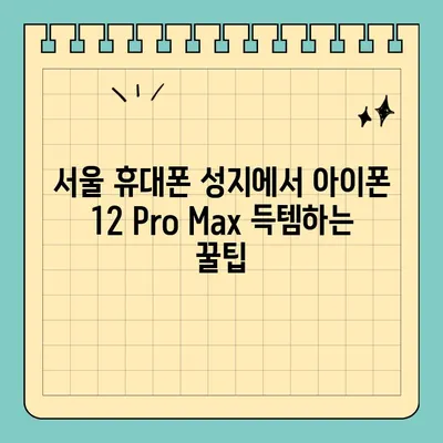 70만원대 아이폰 12 Pro Max 퍼시픽 블루 득템! 서울 휴대폰 성지의 비밀 | 아이폰 저렴하게 사는 법, 휴대폰 성지 정보, 꿀팁