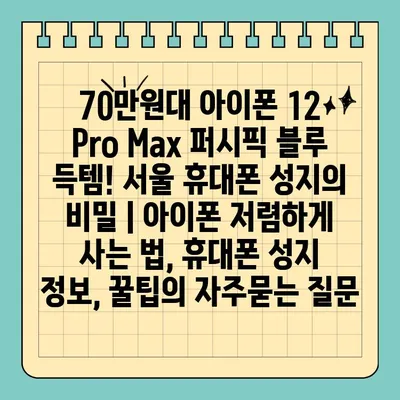 70만원대 아이폰 12 Pro Max 퍼시픽 블루 득템! 서울 휴대폰 성지의 비밀 | 아이폰 저렴하게 사는 법, 휴대폰 성지 정보, 꿀팁