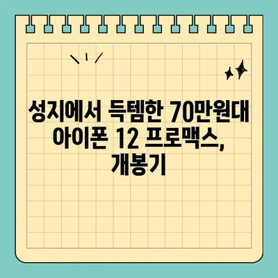 아이폰 12 프로맥스 퍼시픽블루 70만원대 득템! 서울 휴대폰 성지 추천 | 아이폰 12 프로맥스, 퍼시픽블루, 휴대폰 성지, 저렴하게 구매