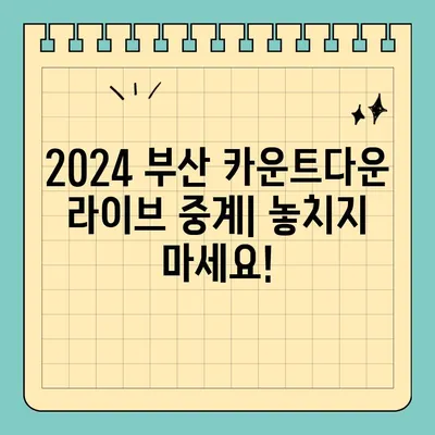 2024년 부산 카운트다운 라이브 중계| 실시간 생중계 시청 가이드 | 부산, 새해맞이, 카운트다운, 실시간 방송