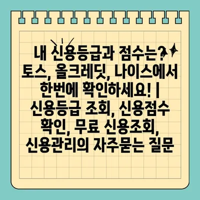 내 신용등급과 점수는? 토스, 올크레딧, 나이스에서 한번에 확인하세요! | 신용등급 조회, 신용점수 확인, 무료 신용조회, 신용관리