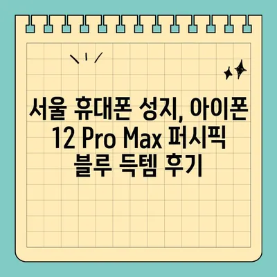 아이폰 12 Pro Max 퍼시픽 블루, 서울 휴대폰 성지에서 70만 원대 득템! | 성지 추천, 가격 비교, 할인 정보