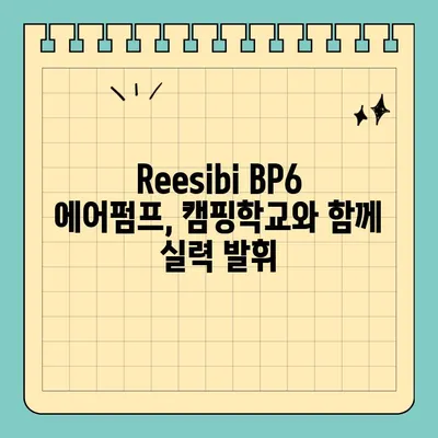 알리익스프레스 무선 전동 에어펌프 Reesibi BP6 (feat.캠핑학교) 내돈내산 리뷰| 캠핑 필수템? | 캠핑, 에어펌프, 리뷰, 캠핑용품, 알리익스프레스