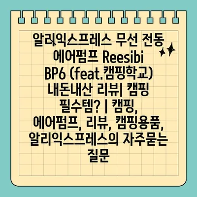 알리익스프레스 무선 전동 에어펌프 Reesibi BP6 (feat.캠핑학교) 내돈내산 리뷰| 캠핑 필수템? | 캠핑, 에어펌프, 리뷰, 캠핑용품, 알리익스프레스