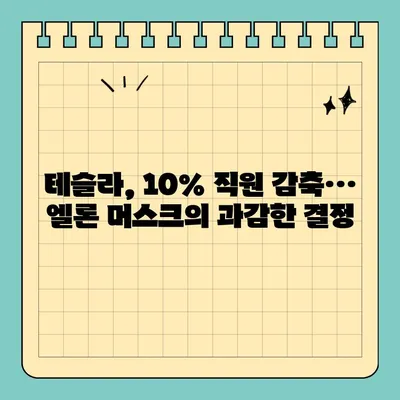 테슬라 직원 10% 해고 칼바람| 엘론 머스크의 전략과 배경 | 테슬라, 해고, 엘론 머스크, 경영 전략, 자동차 산업