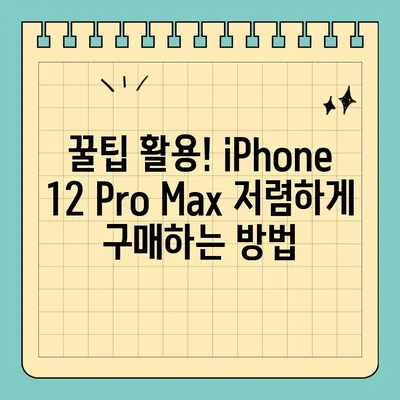 iPhone 12 Pro Max 저렴하게 구매하는 서울 핸드폰 성지 탐험 가이드 | 꿀팁, 최저가, 할인 정보, 추천 매장