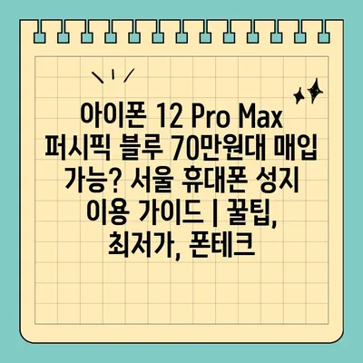 아이폰 12 Pro Max 퍼시픽 블루 70만원대 매입 가능? 서울 휴대폰 성지 이용 가이드 | 꿀팁, 최저가, 폰테크