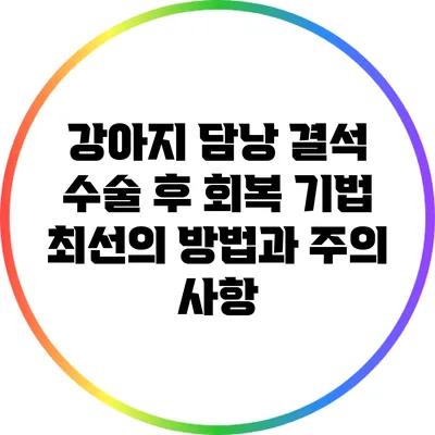 강아지 담낭 결석 수술 후 회복 기법: 최선의 방법과 주의 사항