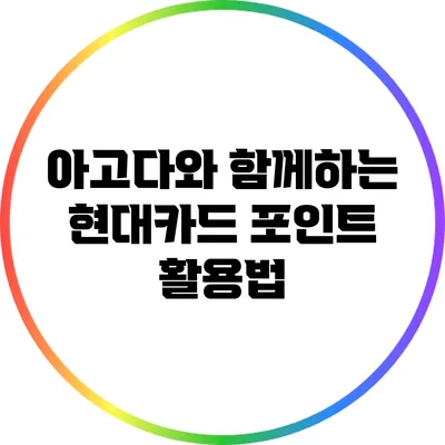 아고다와 함께하는 현대카드 포인트 활용법