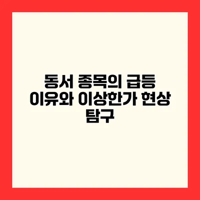 동서 종목의 급등 이유와 이상한가 현상 탐구