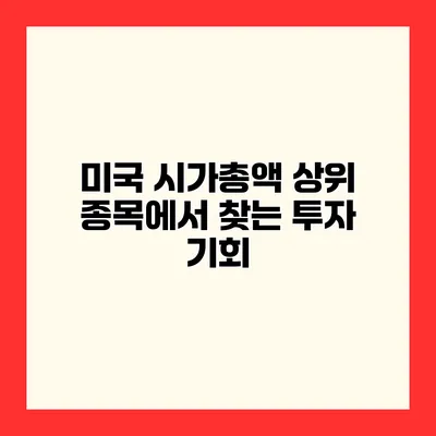 미국 시가총액 상위 종목에서 찾는 투자 기회