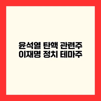 윤석열 탄핵 관련주 이재명 정치 테마주